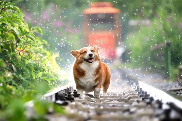 男人双手断掌